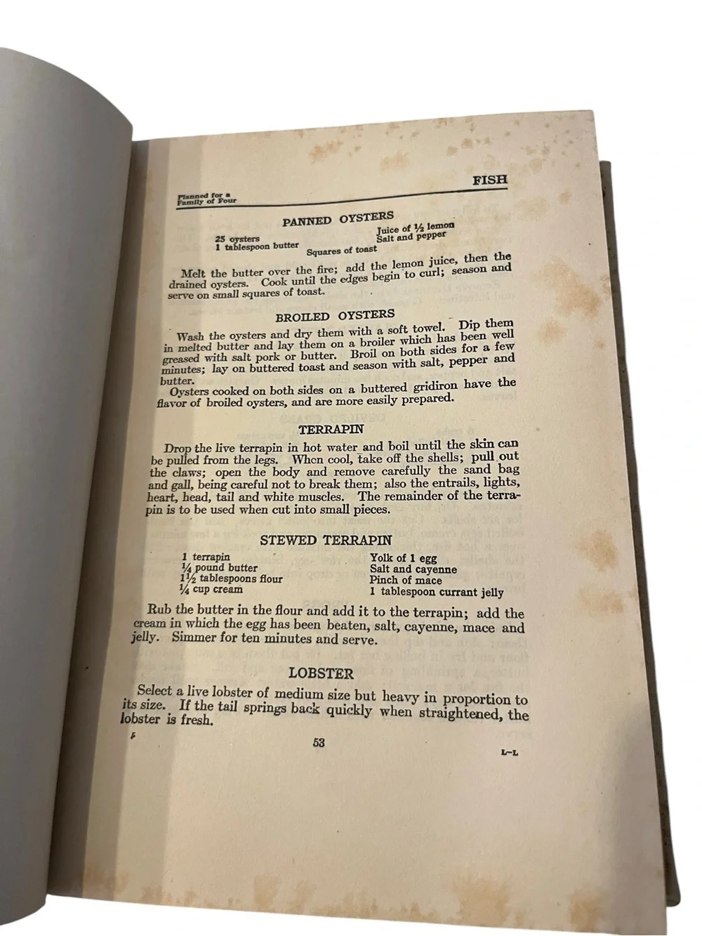 Vtg Mrs.Fryer’s Cook Book Practical Home Economics H/C Antique HC Illus 1926